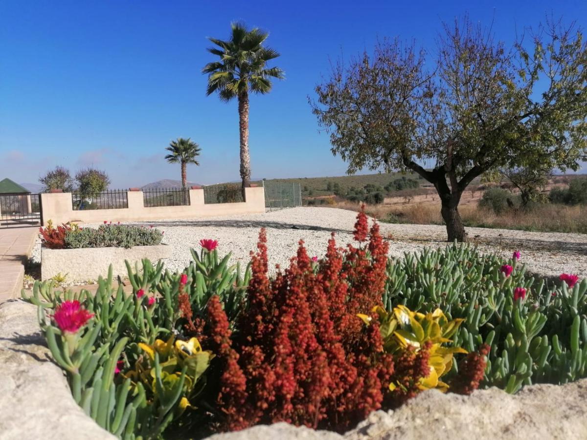 Finca Guillermo Murcia Canada del Trigo エクステリア 写真